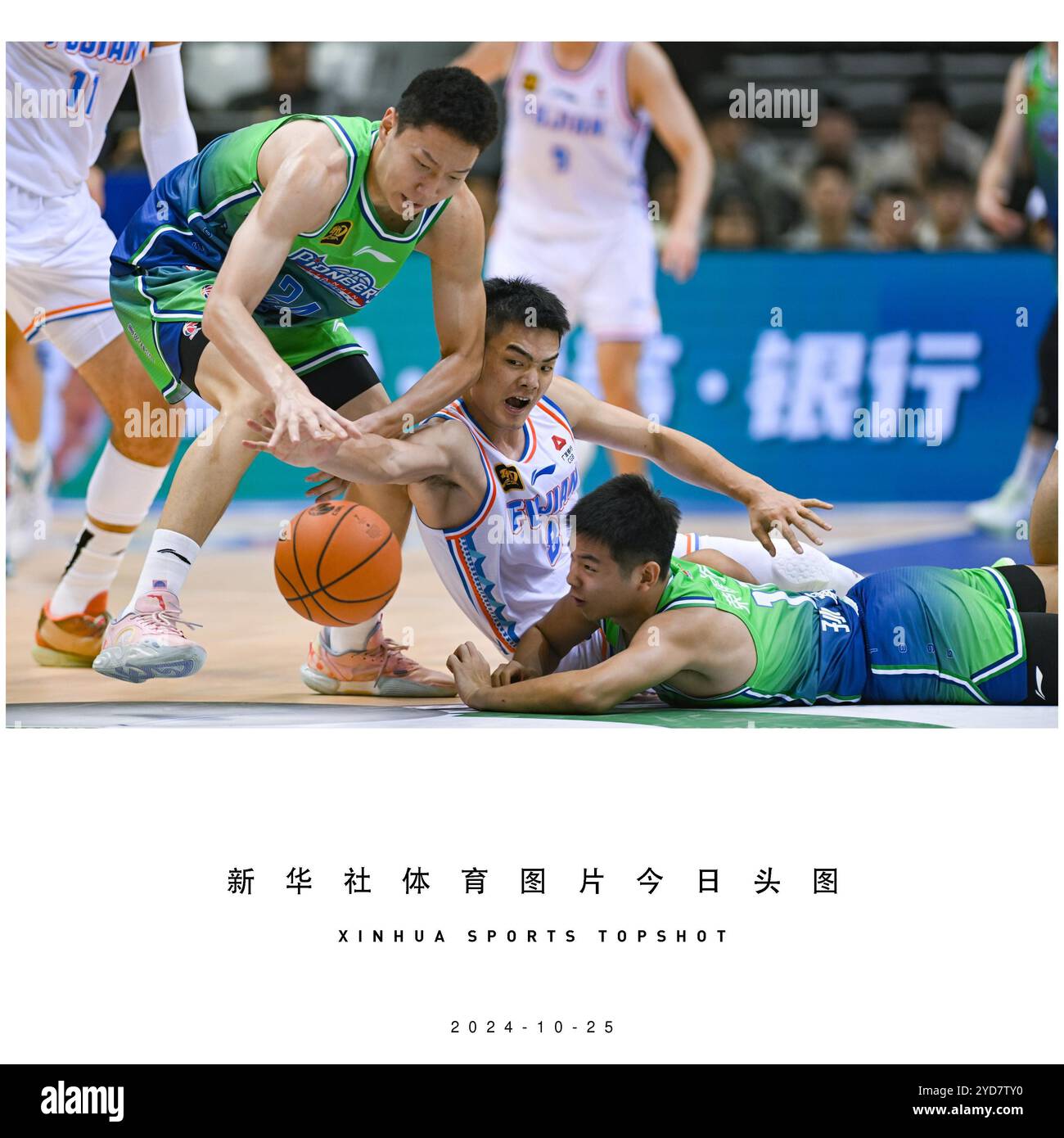 篮球长青树
